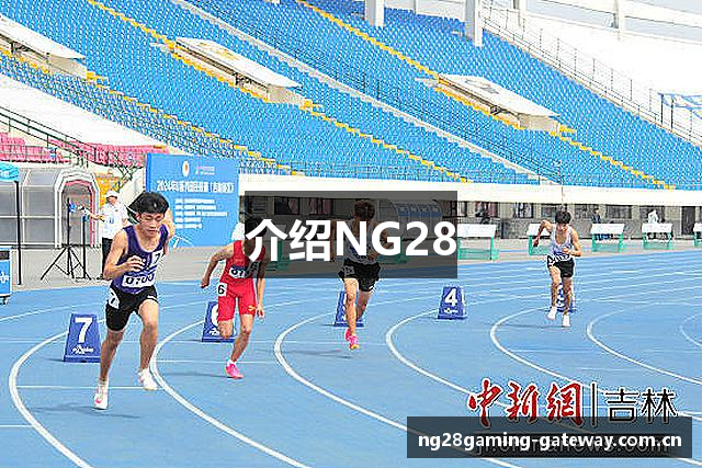 介绍NG28